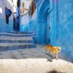Chefchaouen 3 Medina de Chaouen