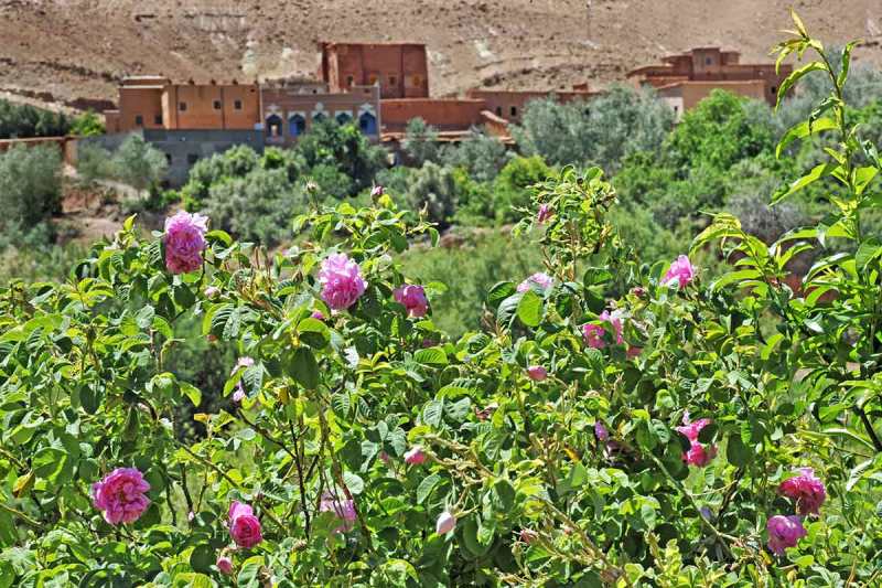 Pueblo Valle de las Rosas