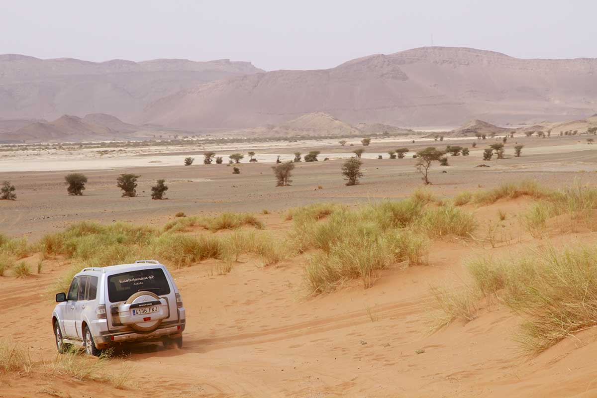 Ruta por pistas desierto oculto