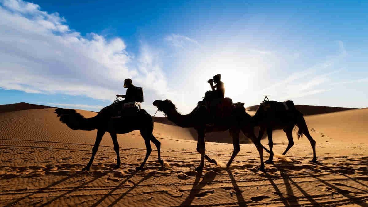 Mejor agencia para viajar a Marruecos