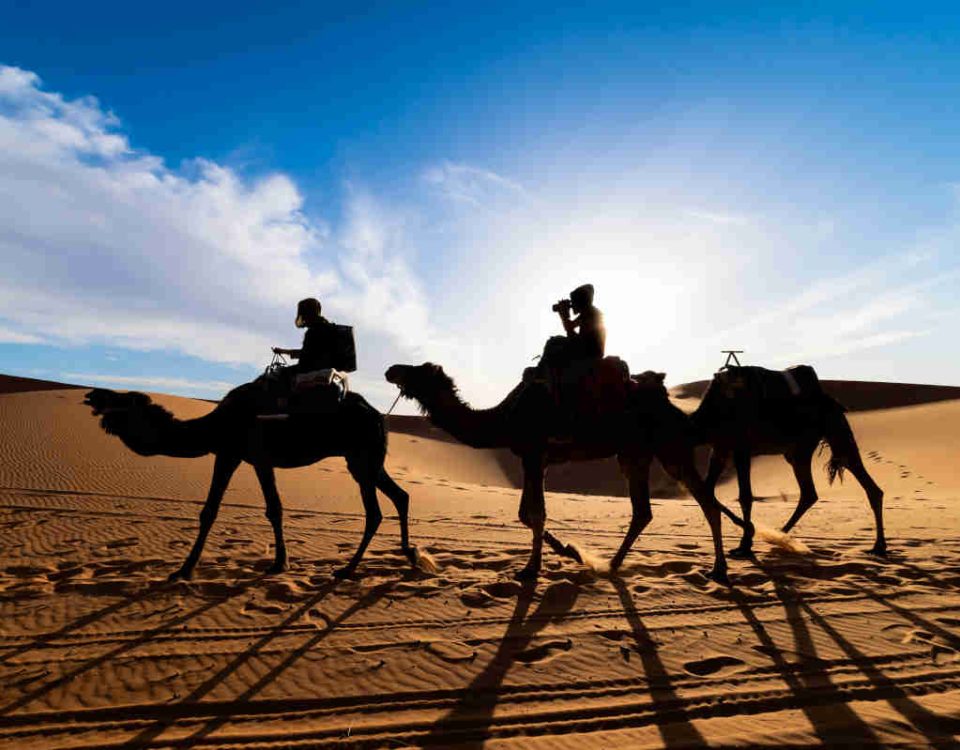 ¿Cuál es la mejor agencia para viajar a Marruecos? Nosotros: Turismo Marruecos 17 Mejor agencia para viajar a Marruecos