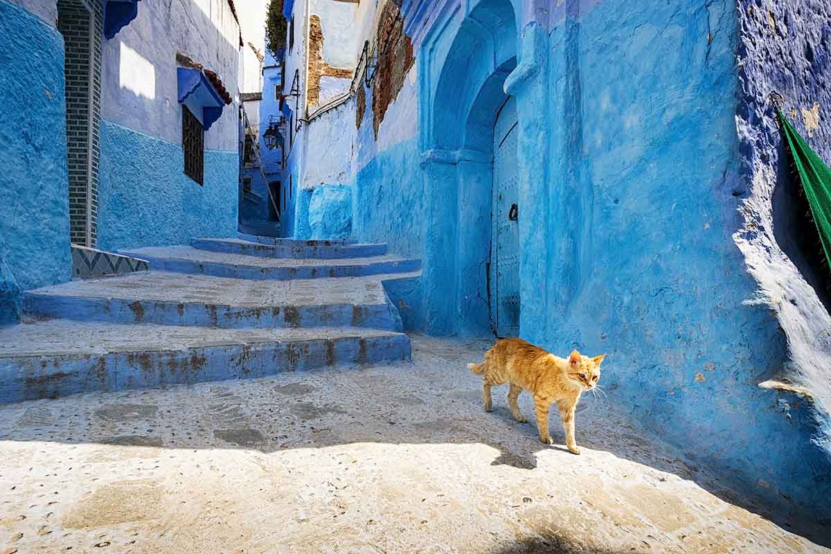 Medina de Chaouen