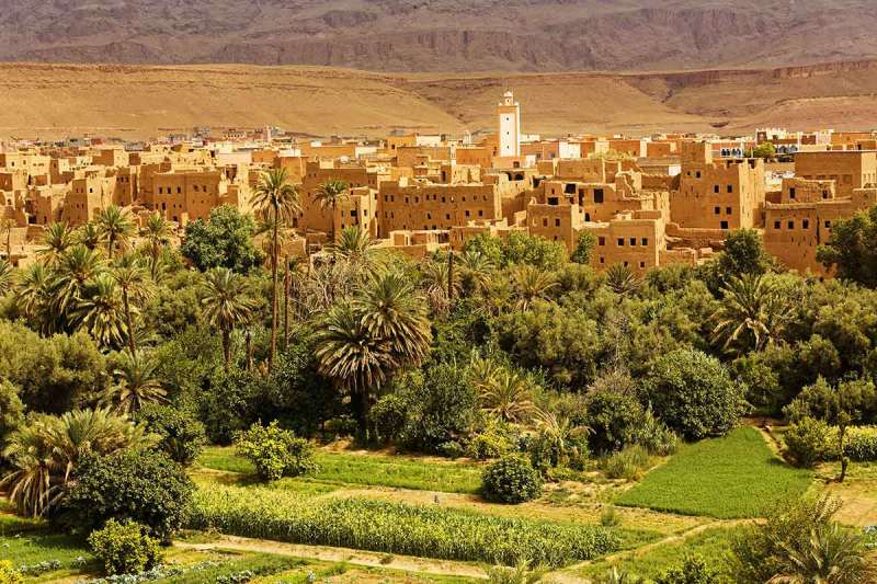 Palmeral de Ouarzazate