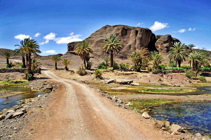 Oasis de fint paisaje