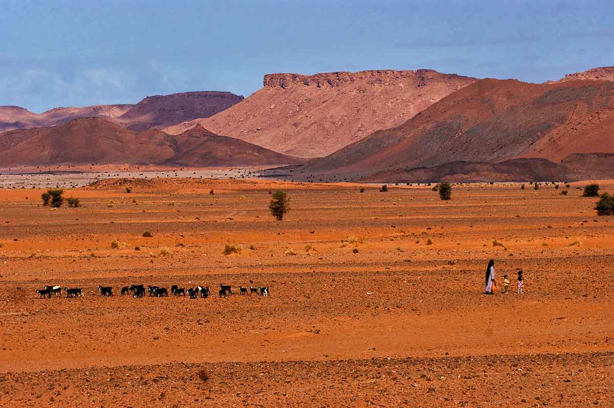 Desierto salvaje de Ouzina Desierto de Ouzina