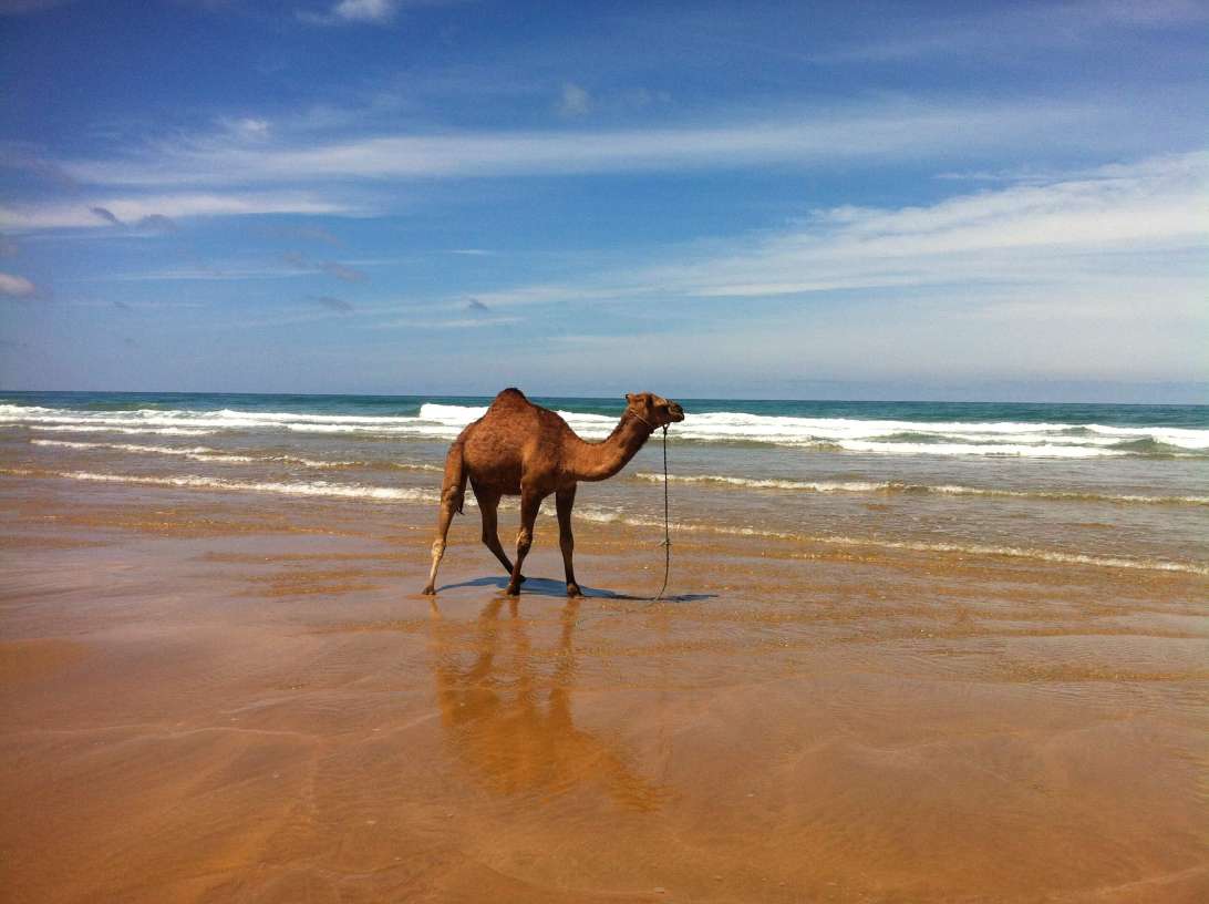 Playa de las cuevas en Asilah Playa de las cuevas en Asilah