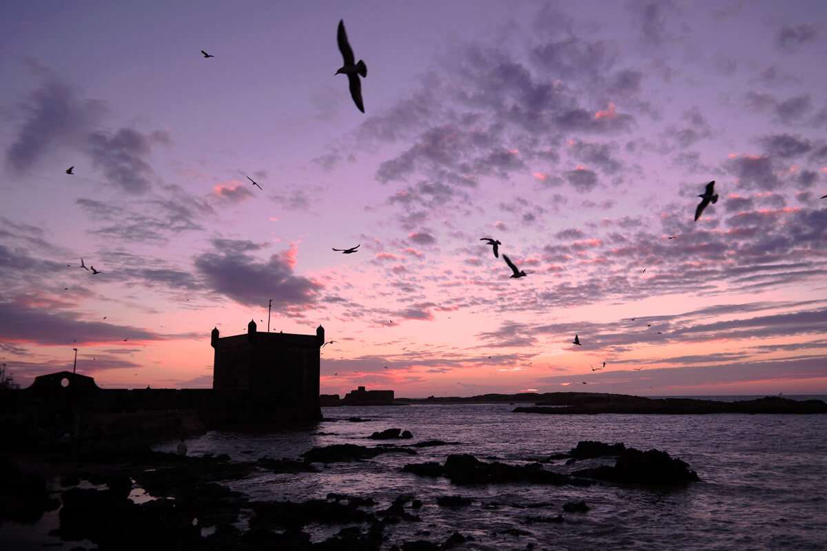 Viaje fotográfico Costa Atlántica Marruecos Agosto 2017 9 Viaje fotográfico Essaouira