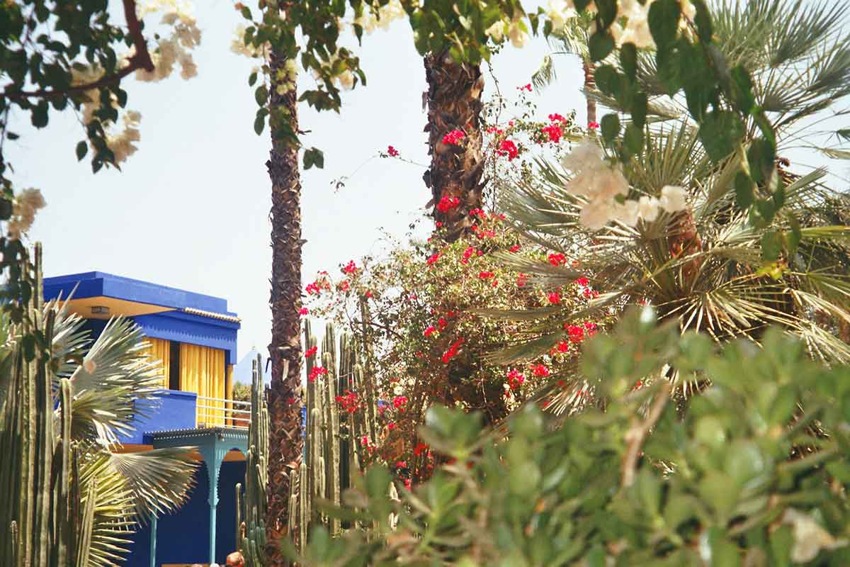 Qué hacer en Marrakech: 3 ideas interesantes 4 Interior Jardin Majorelle en Marrakech