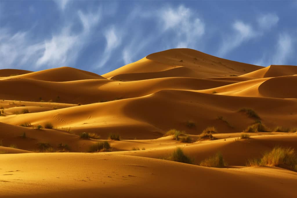 ▷ Datos Interesantes del Desierto del Sahara | Turismo Marruecos