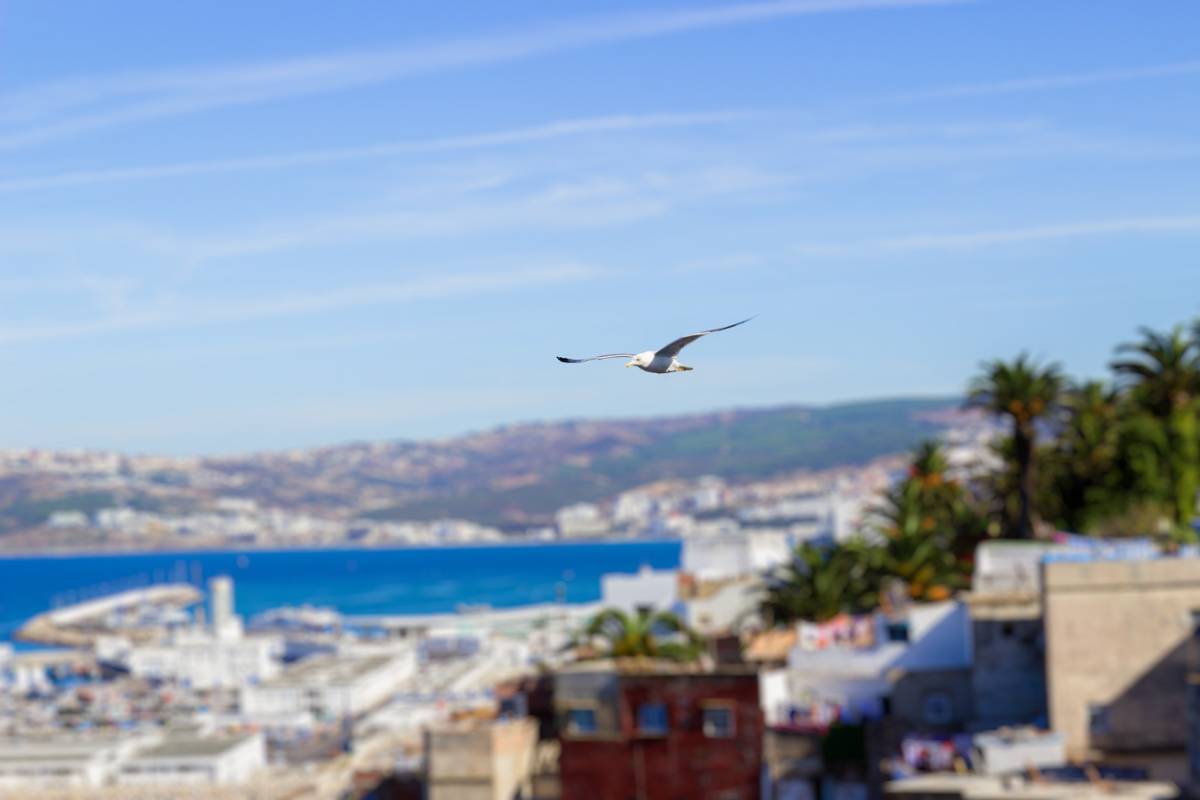 Consejos para visitar Tánger