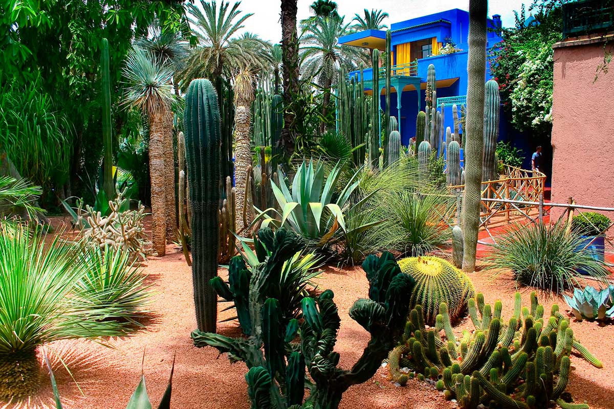 Yves Saint Laurent en Marrakech: museo y mucho más 4 El Jardin Majorelle en Marrakech