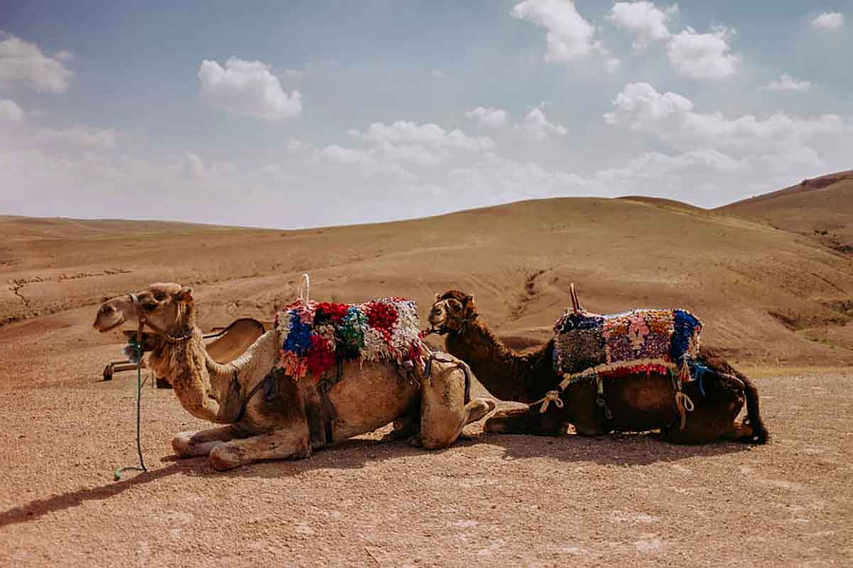 El desierto de Marrakech el desierto de Agafay