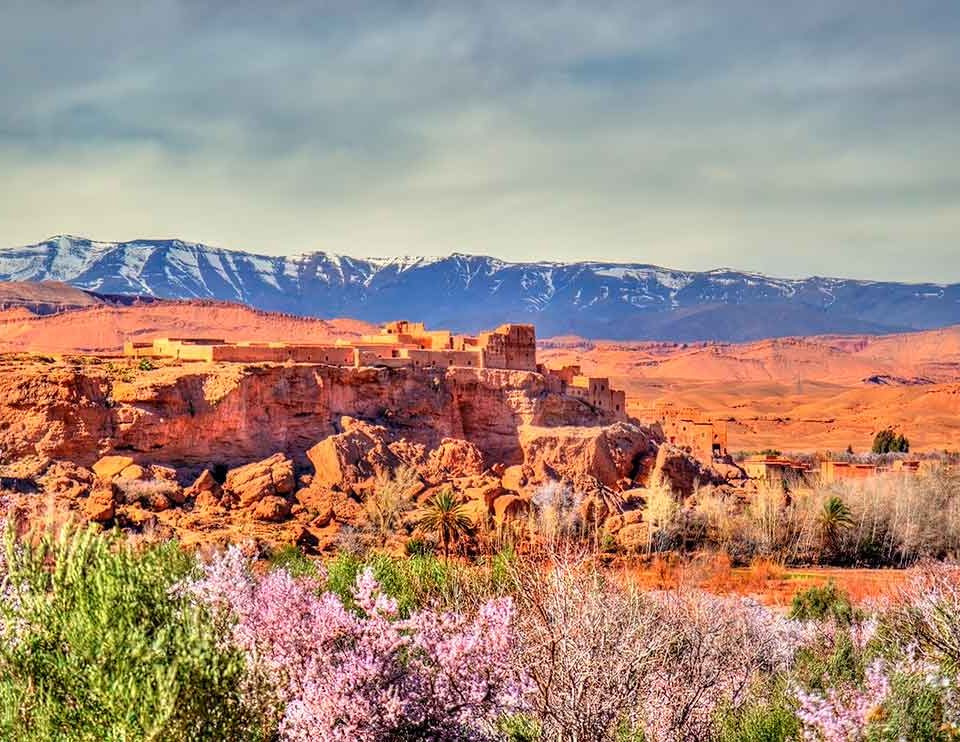 Festival de las rosas en Marruecos