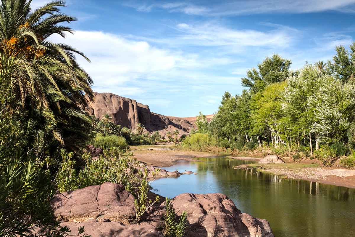 Viajes personalizados a Marruecos: por qué ganan peso 4 Viajes de Naturaleza por Marruecos