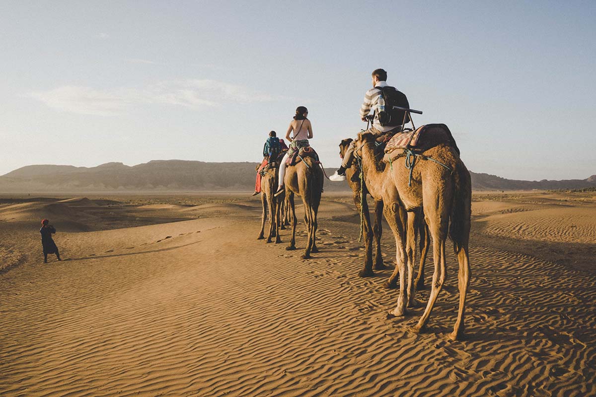 Paseo en dromedarios por Zagora