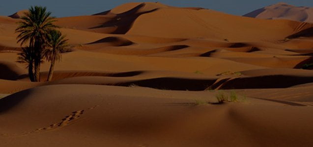 Viajes de Luna de miel en Marruecos 3 null