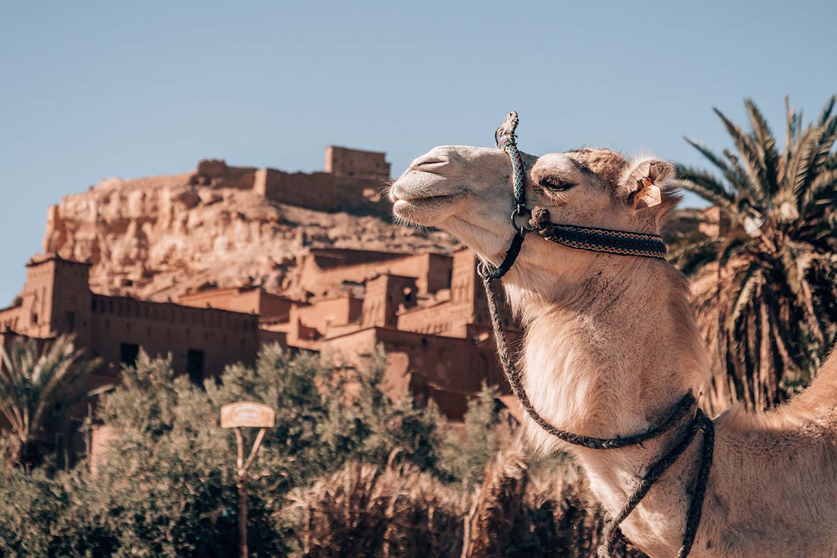 Desierto del Sahara en Marruecos