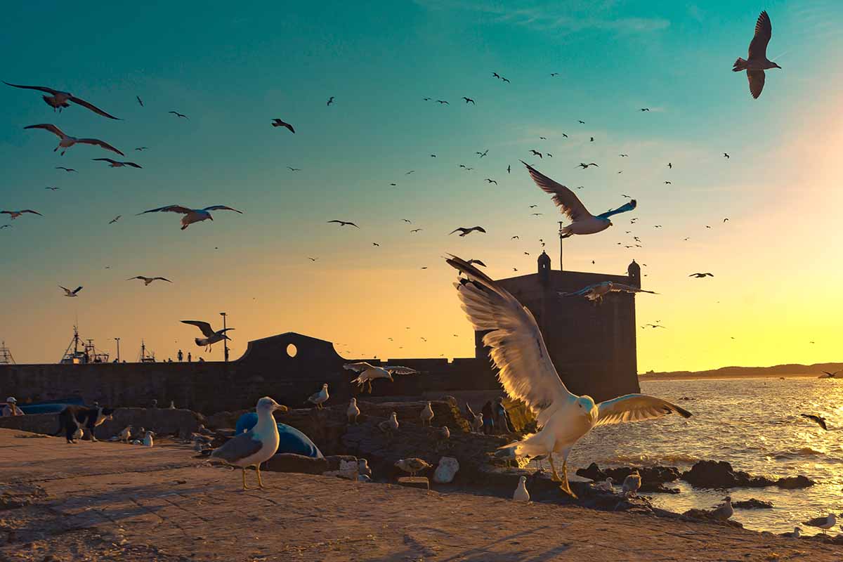 Marruecos: paisajes fascinantes por descubrir 4 Paisajes de Essaouira