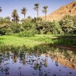 Oasis en Marruecos
