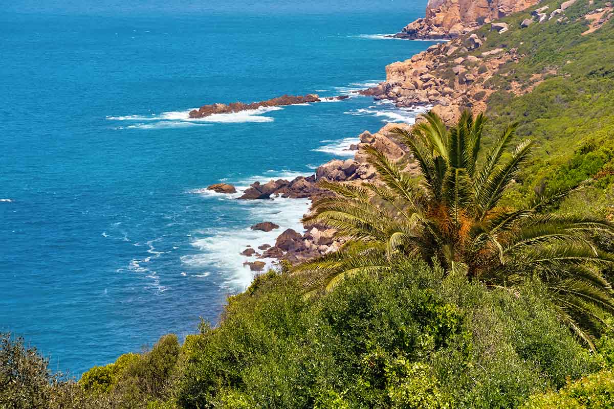 Cabo Espartel: dónde está y qué atractivos tiene 3 Reserva natural en Tanger