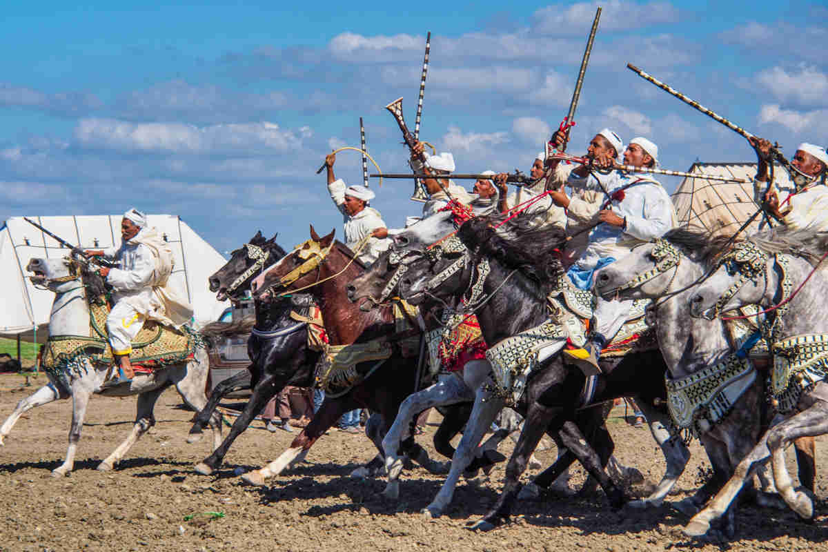▷ La Tbourida, el arte ecuestre marroquí | Turismo Marruecos