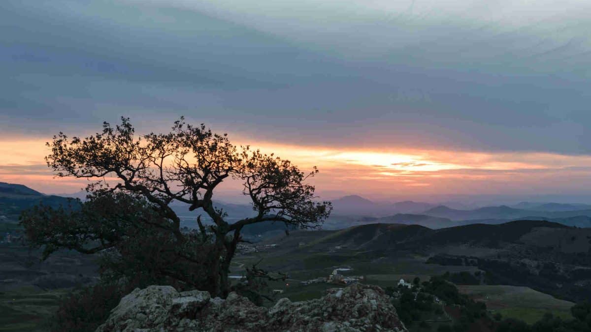 Parque Nacional de Ifrane