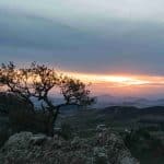 Actividades en el Parque Nacional de Ifrane: algunas ideas 3 Parque Nacional de Ifrane