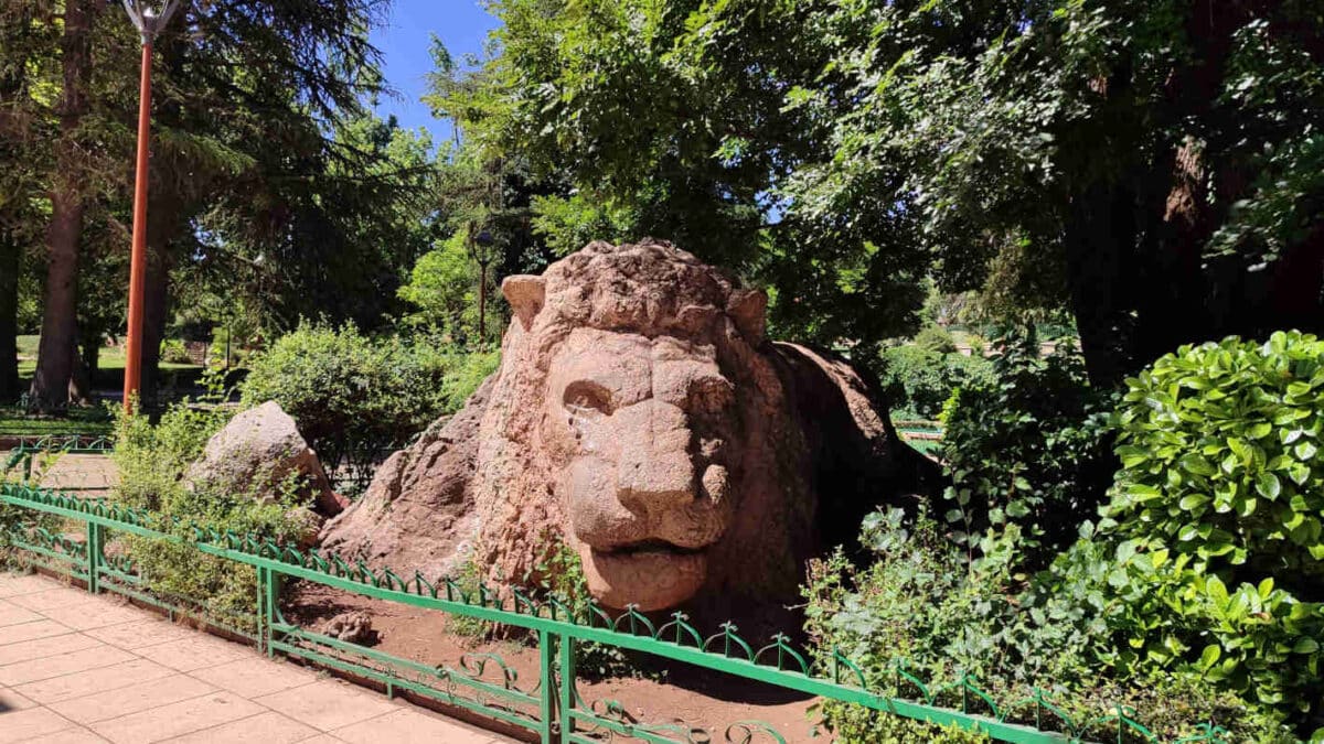 León de Ifrane