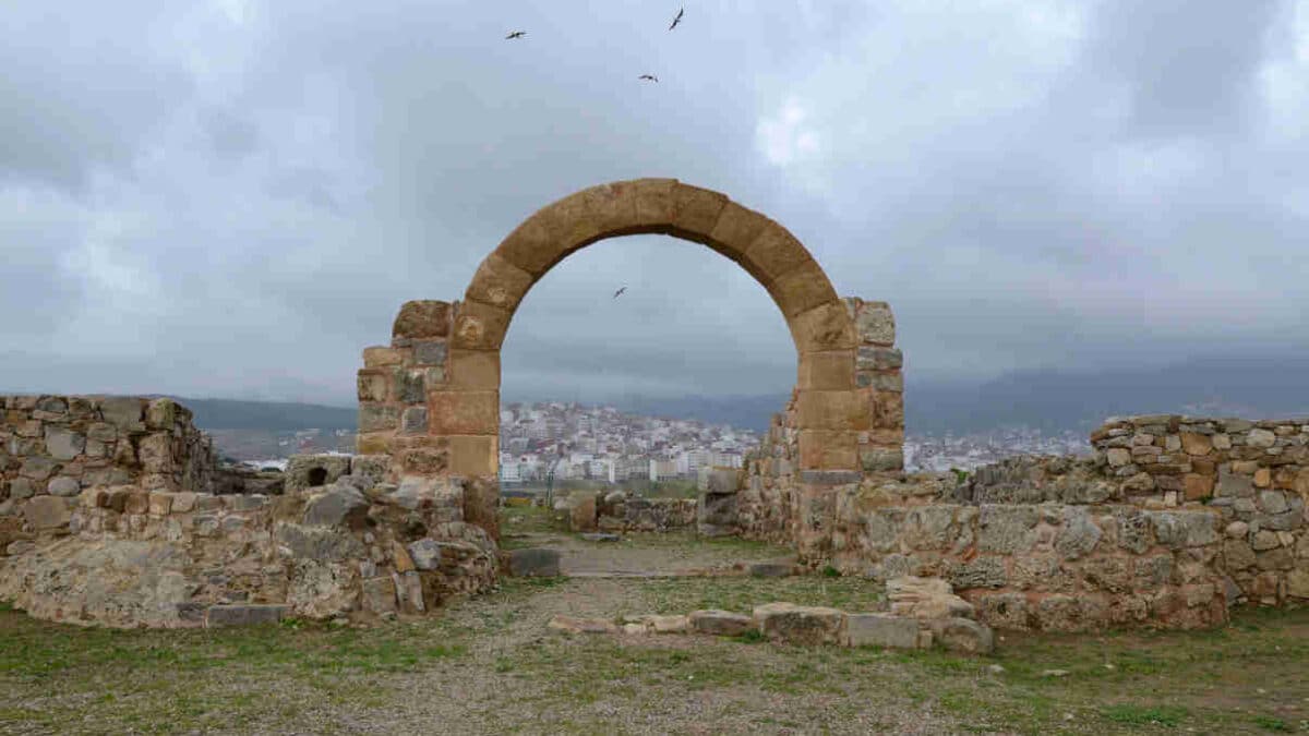 Antigua Tamuda