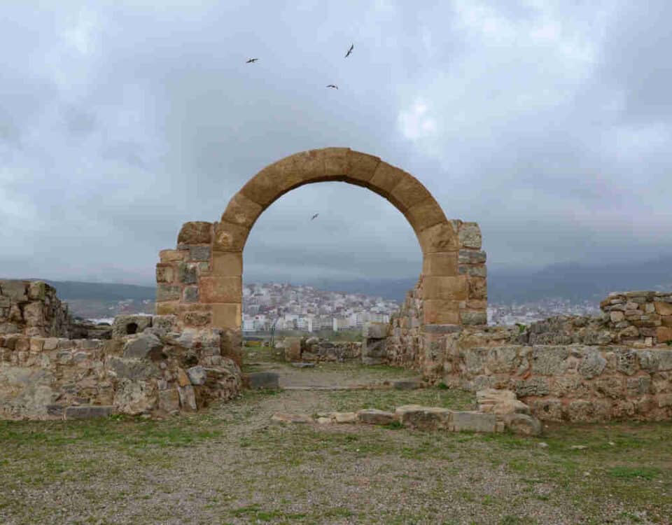Antigua Tamuda
